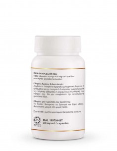 Ganocelium GL – 30 Capsules Beatus Natura – Brain & Cellular Support Supplement 2