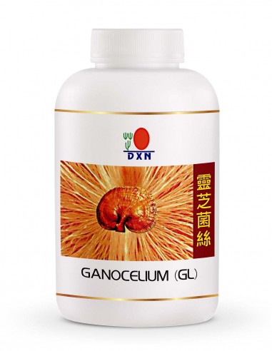 Ganocelium GL 360 – DXN'den zihinsel berraklık ve hücre yenilenmesi için Reishi miselyum takviyesi