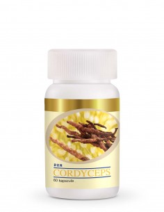 Cordyceps Sinensis DXN – Herbal Energy Supplement – 60 Capsules – Beatus Natura