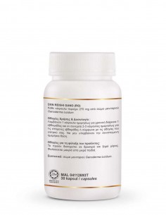 Ganoderma RG 30 κάψουλες Beatus Natura – Φυσικό Συμπλήρωμα Ανοσοποιητικού 2