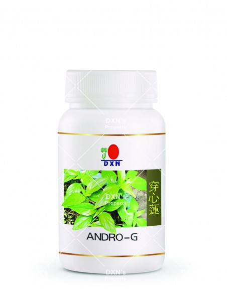 DXN Andrographis Paniculata – Bitkisel Bağışıklık Güçlendirici – 30 Kapsül – Beatus Natura