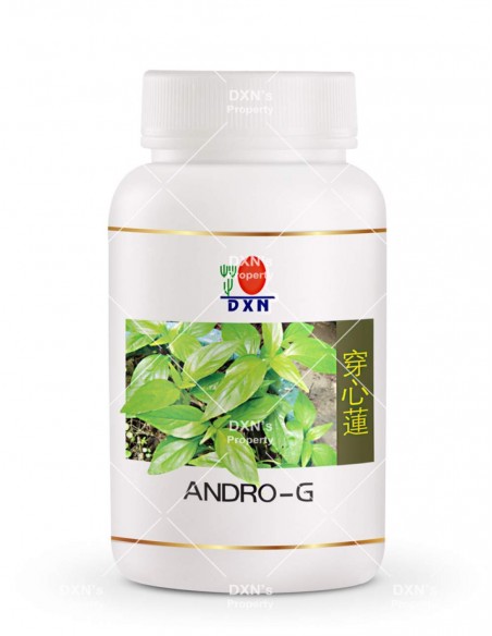 Andrographis Paniculata DXN – Βότανο για Φυσική Ανοσία – 90 Κάψουλες – Beatus Natura
