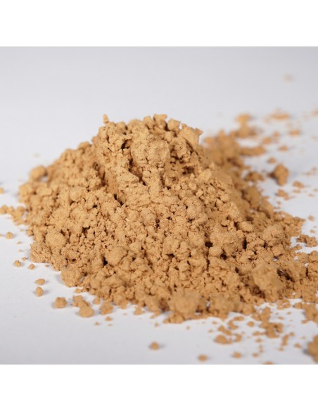 Reishi Gano RG Powder – Συμπλήρωμα διατροφής με γανόδερμα σε σκόνη για αποτοξίνωση και ενίσχυση του ανοσοποιητικού"