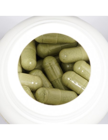 Andro G 90 – Natural supplement with Andrographis Paniculata for immune support and wellness Andro G 90 – Natural supplement with Andrographis Paniculata for immune support and wellness