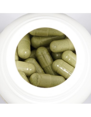 Andro G 30 Νεροϊτιά – Συμπλήρωμα διατροφής με Andrographis Paniculata για ενίσχυση του ανοσοποιητικού