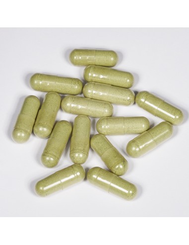 Andro G 30 Νεροϊτιά – Συμπλήρωμα διατροφής με Andrographis Paniculata για ενίσχυση του ανοσοποιητικού