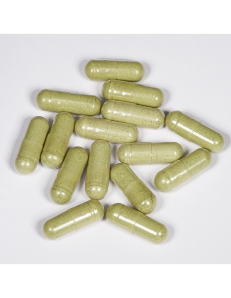 Andro G 30 Νεροϊτιά – Συμπλήρωμα διατροφής με Andrographis Paniculata για ενίσχυση του ανοσοποιητικού