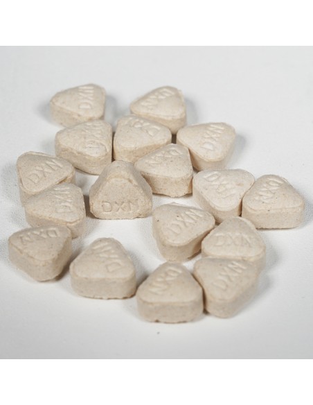 Lion's Mane DXN – Natural supplement for memory, focus, and nervous system support