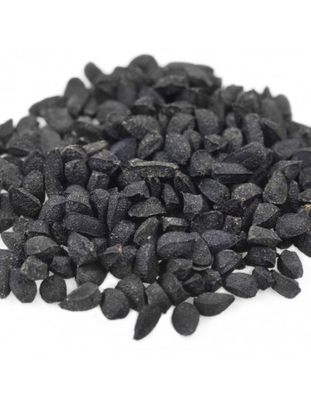Black Cumin DXN – Çörek Otu Yağı Takviyesi – 30 Yumuşak Kapsül – Beatus Natura
