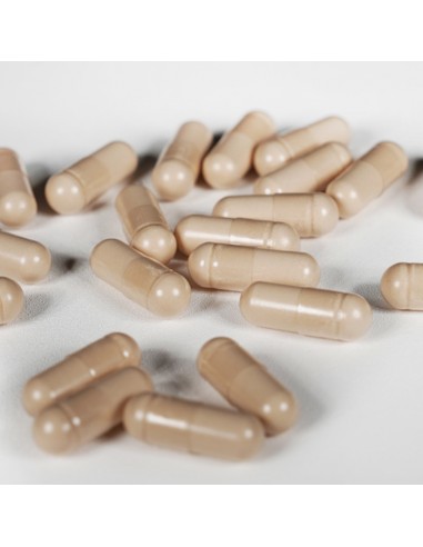 Ganotherapy for 3 months Ganotherapy for 3 months