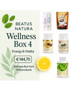 Beatus Natura Wellness Box 4 Energy & Vitality